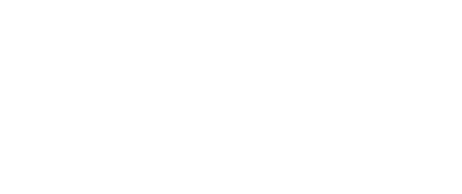 アルティーフィット